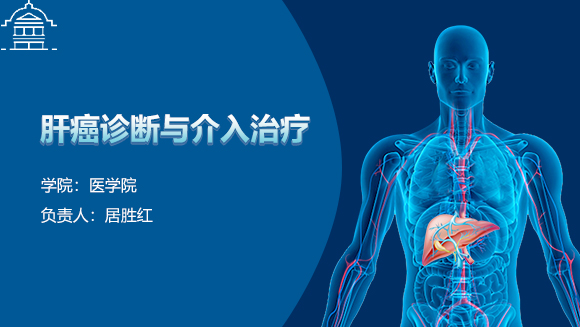 基于影像技术的肝癌诊断与介入治疗虚拟仿真