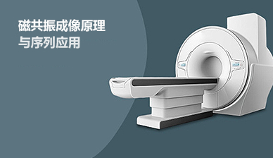 磁共振成像原理与序列应用虚拟仿真实验(演示)